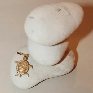 Clearance Raf, la Tortue en or 18 carats Colliers